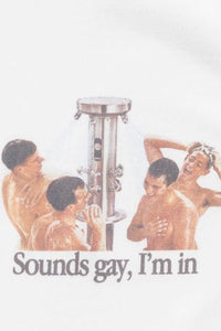 SOUNDS GAY, I'M IN - THE ROOM BY BASMATEE