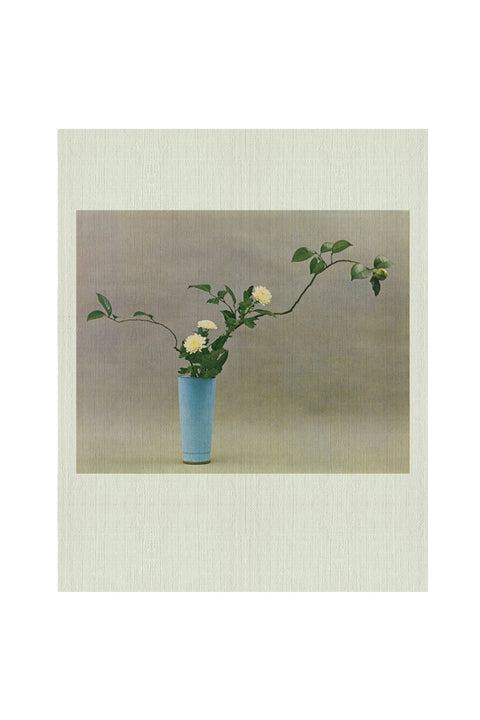 IDEA - IKEBANA BOOK