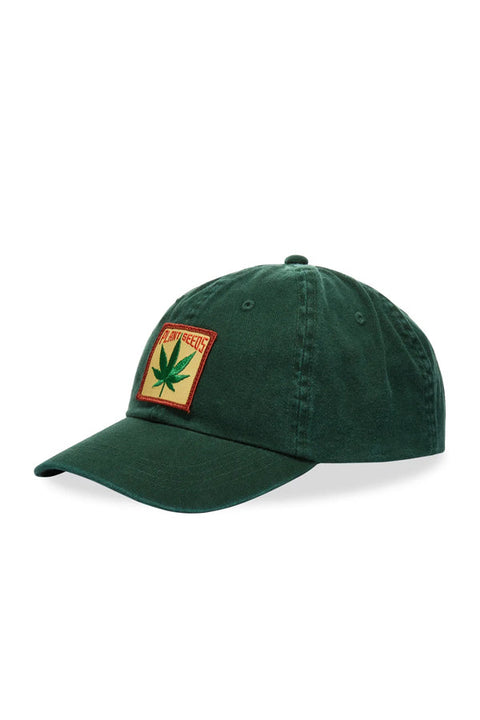 IDEA - PLANT SEED CAP